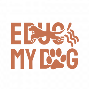 EDM